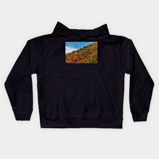 Colorful autumnal landscape Kids Hoodie